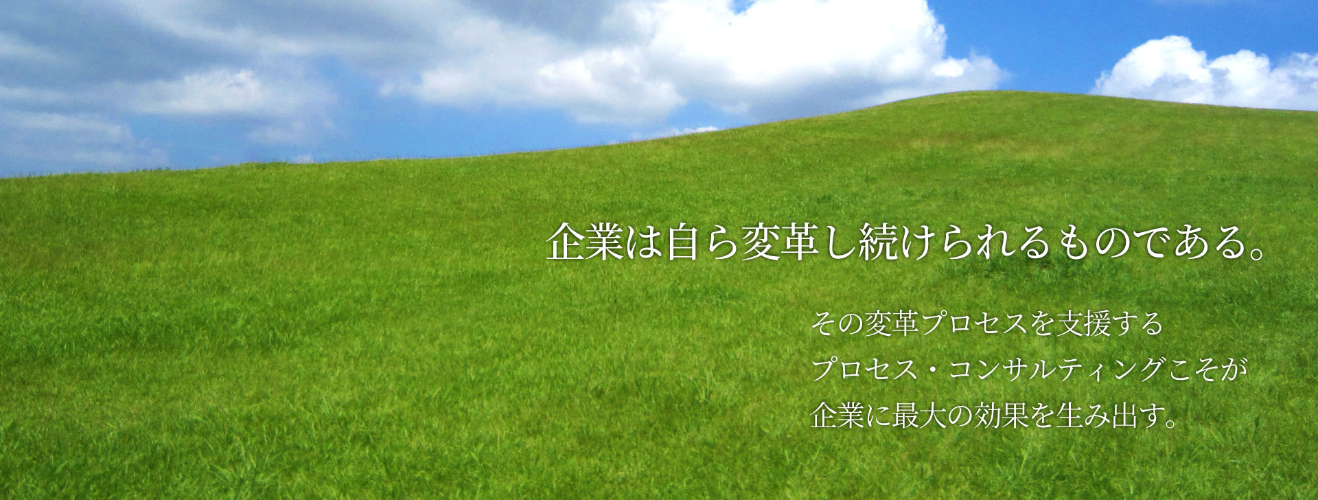 企業は自ら変革し続けられるものである。その変革プロセスを支援するプロセス・コンサルティングこそが企業に最大の効果を生み出す。